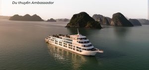 Du thuyền Ambassador II tạm ngừng dịch vụ ngày 05 và 06/11/2025